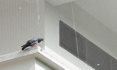 Balcony Safety Nets In Hyderabad