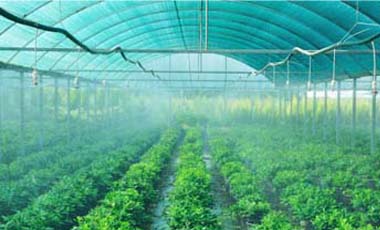 Balcony Safety Nets In Hyderabad